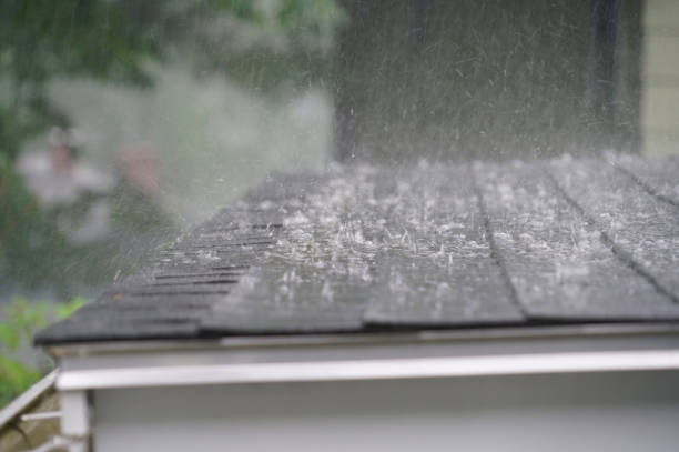 Best Gutter Installation and Repair  in Castle Dale, UT