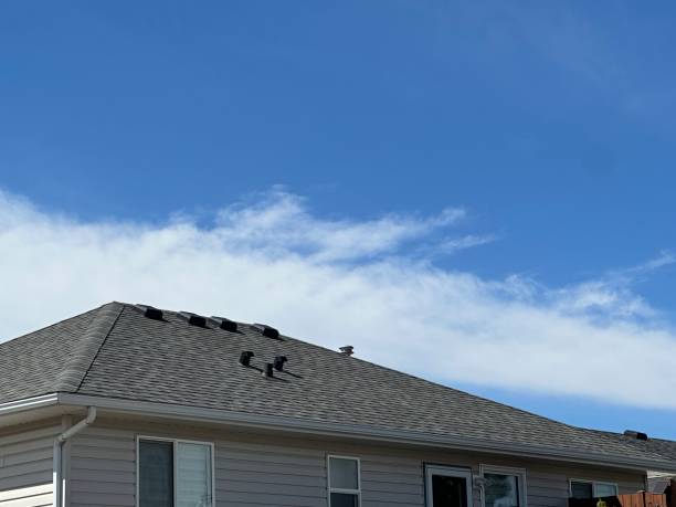 Best Rubber Roofing (EPDM, TPO)  in Castle Dale, UT
